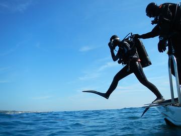 Dive